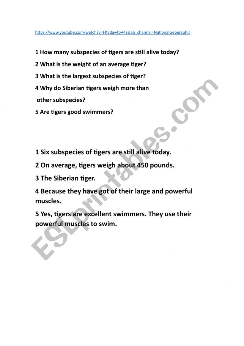 TIGERS worksheet