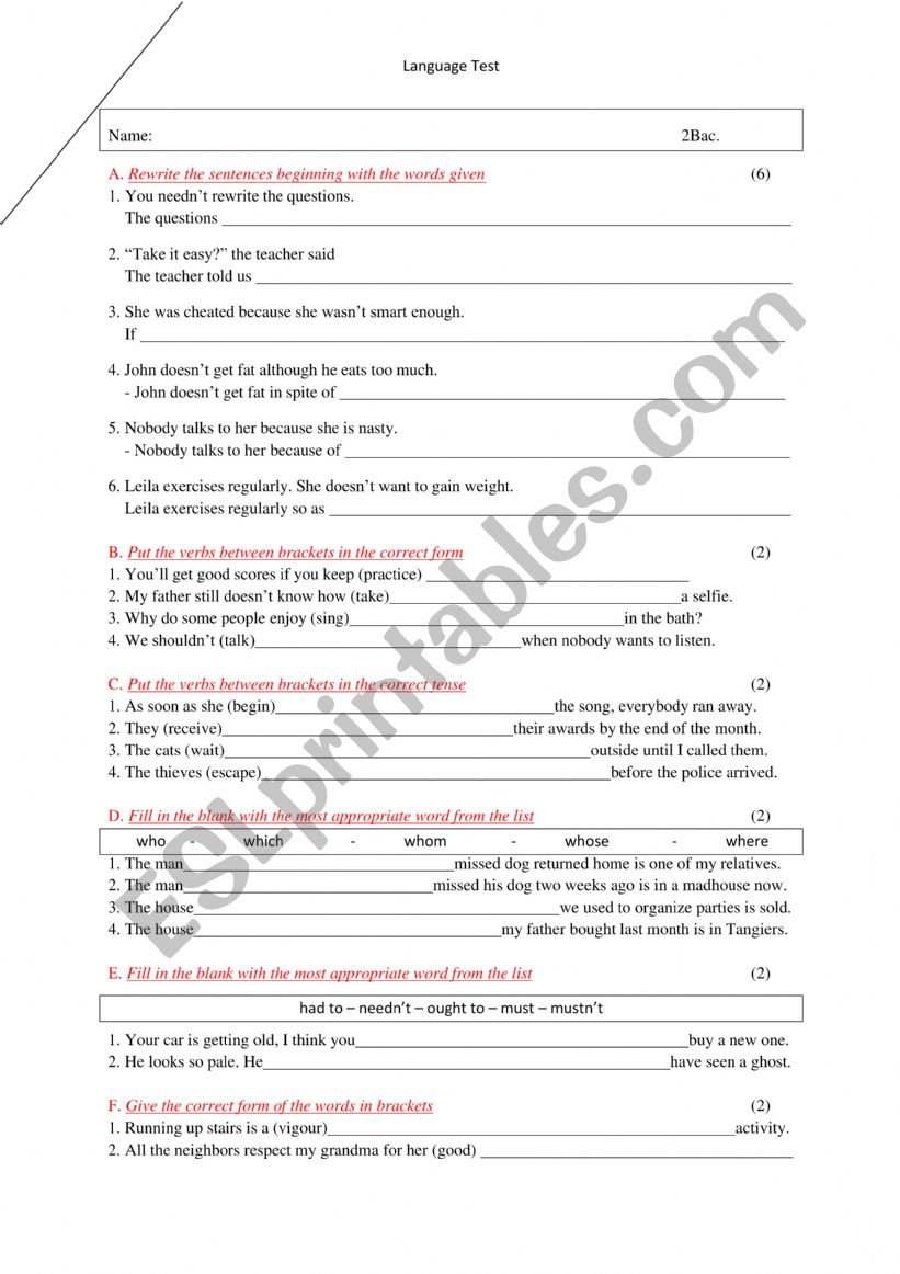 Language Test worksheet