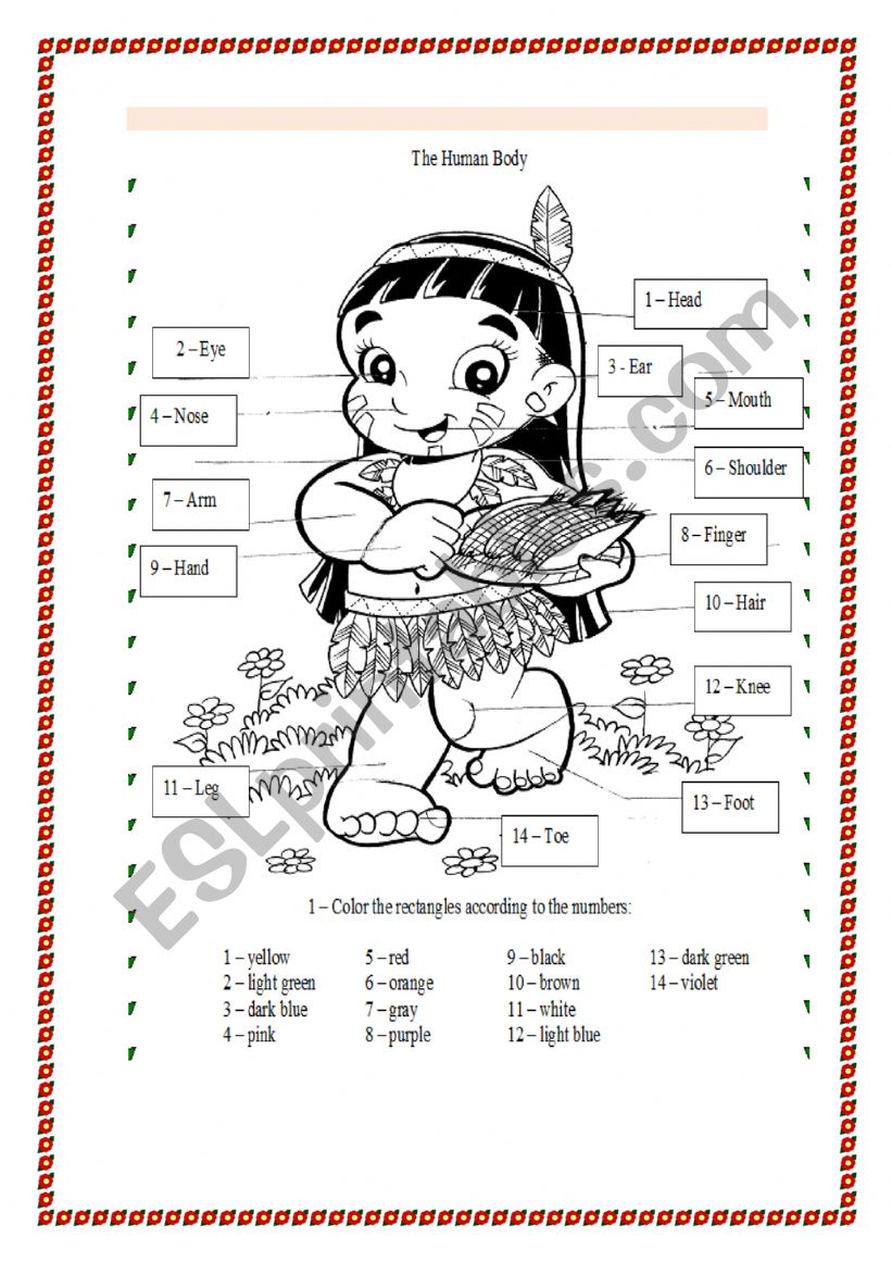 Human body worksheet