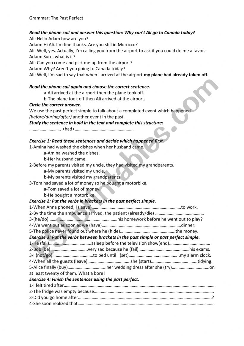 The past perfect simple worksheet