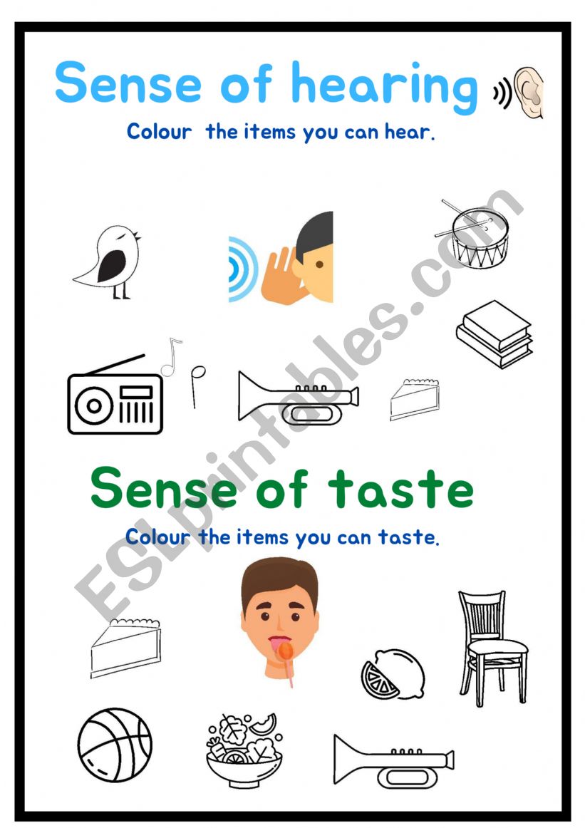 SENSES worksheet