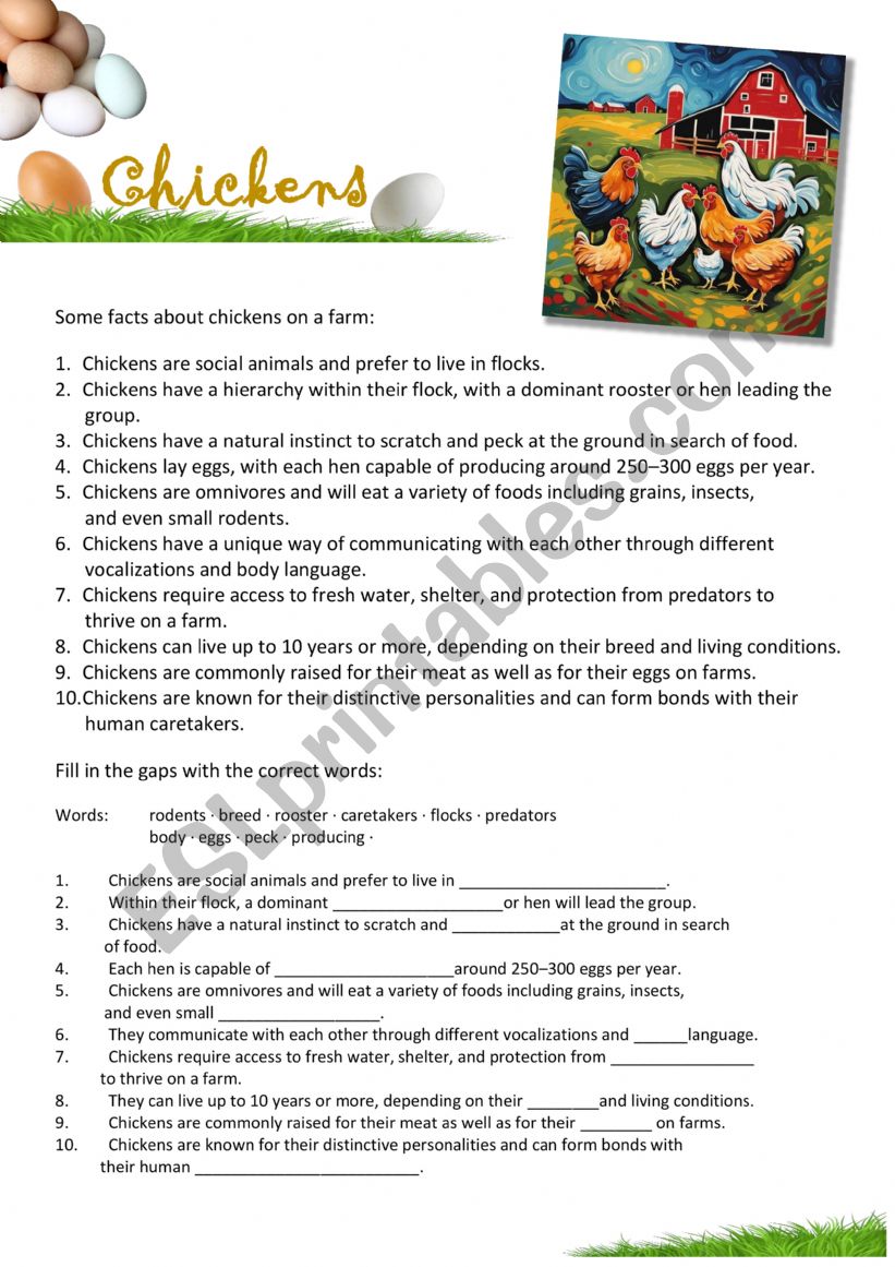 Chickens - Farm Animals worksheet