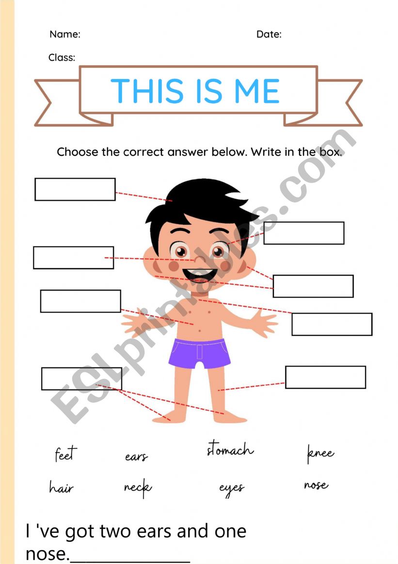 write the parts of the body worksheet