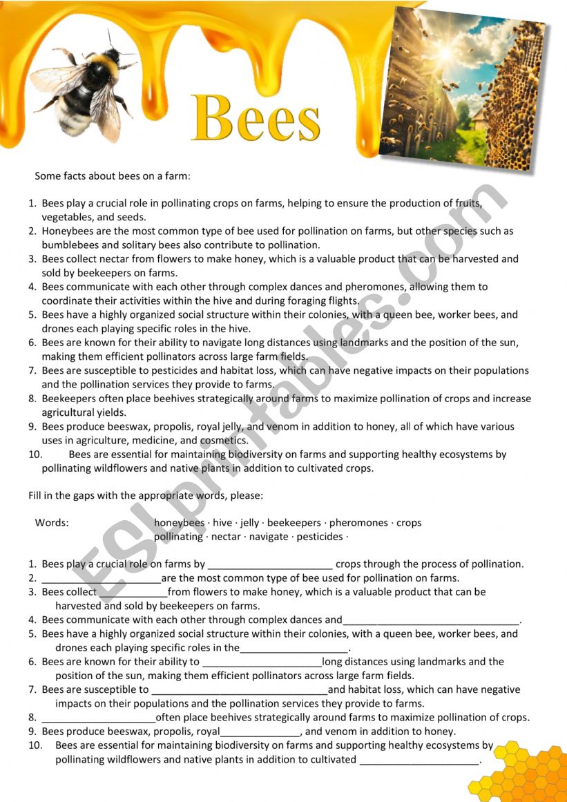 Bees - Farm Animals worksheet