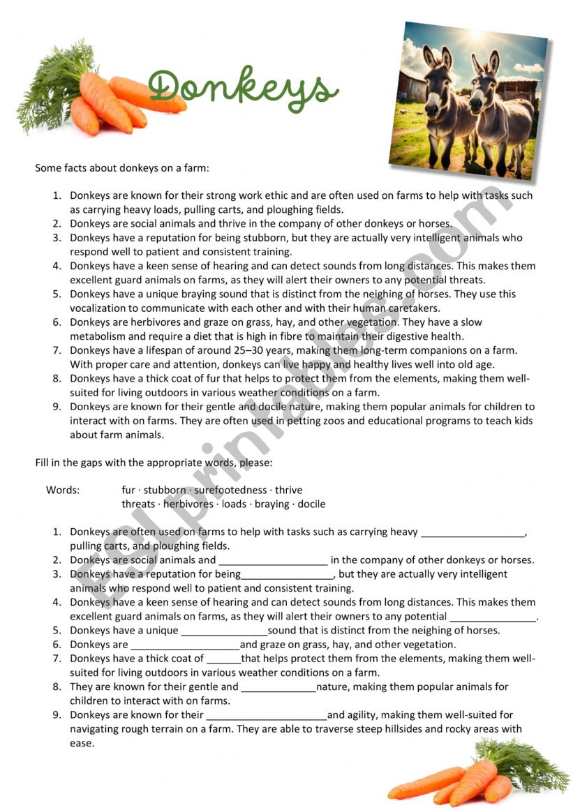 Donkeys - Farm Animals worksheet