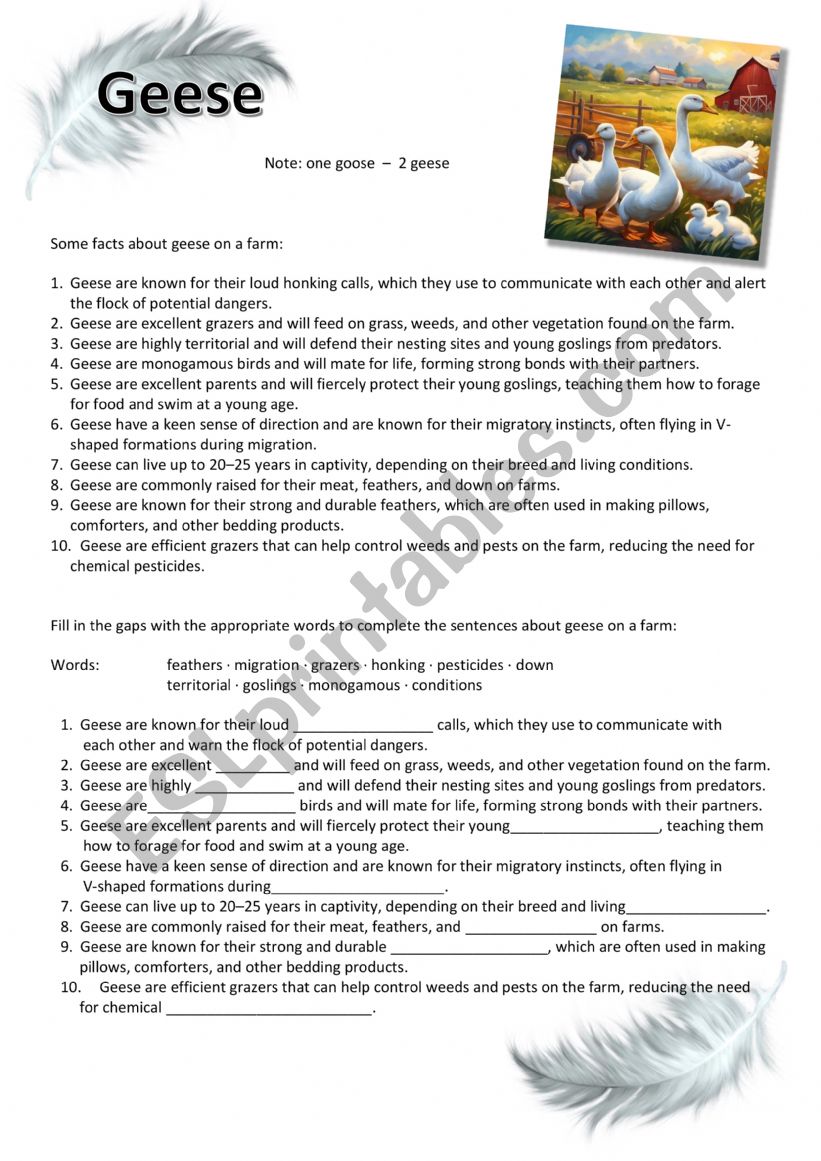 Goose - Farm Animals worksheet