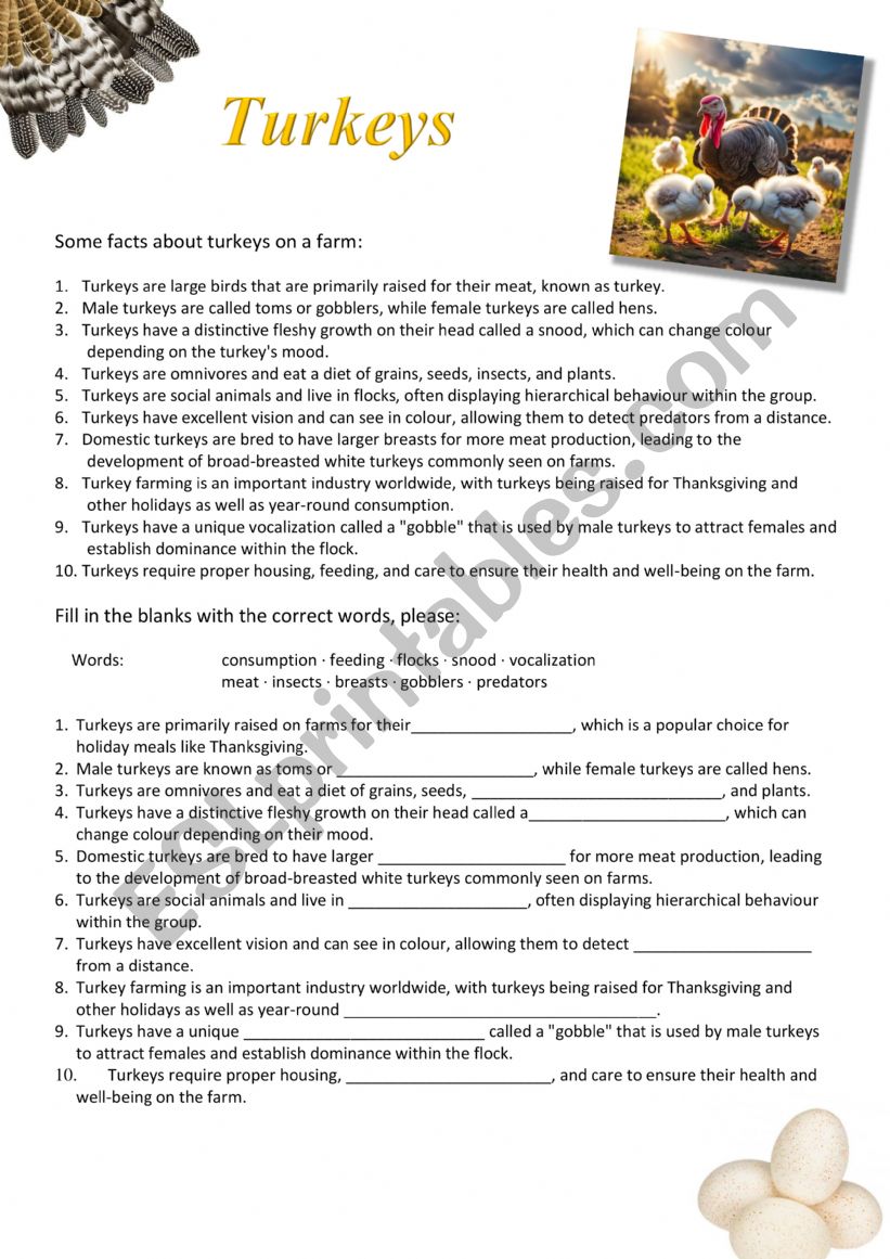 Turkeys - Farm Animals worksheet