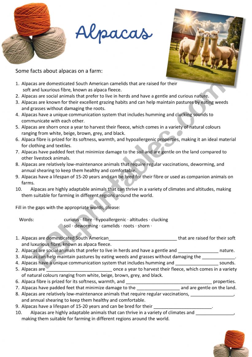 Alpacas - Farm Animals worksheet