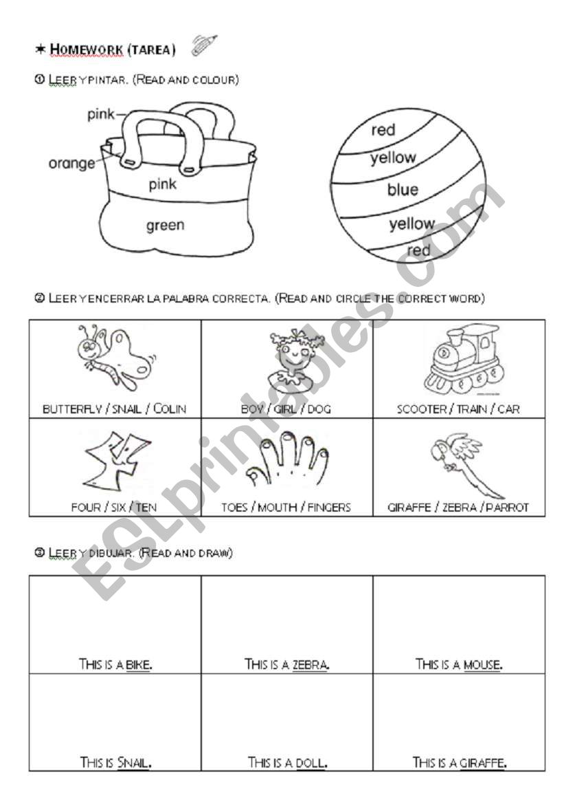 Homework worksheet