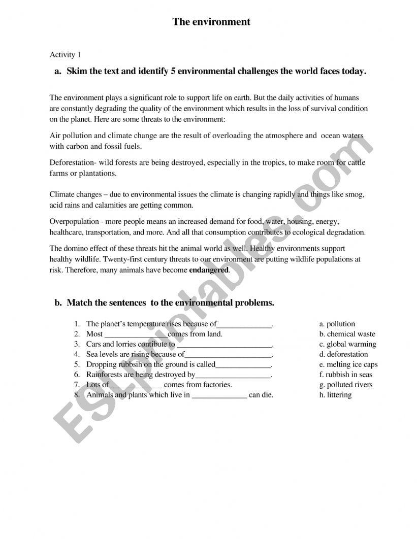 the environment -worksheet worksheet