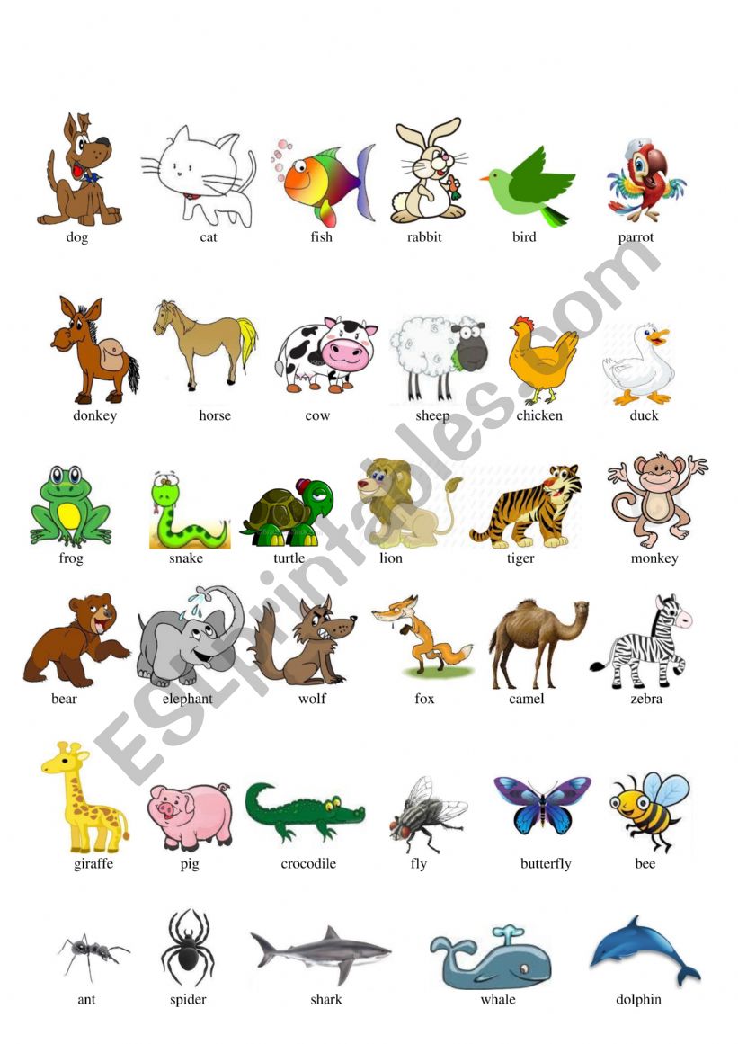 Different animals worksheet