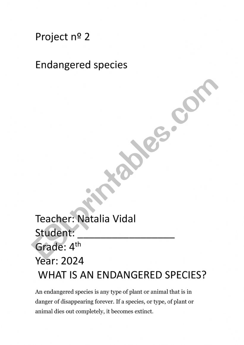 rainforest booklet worksheet