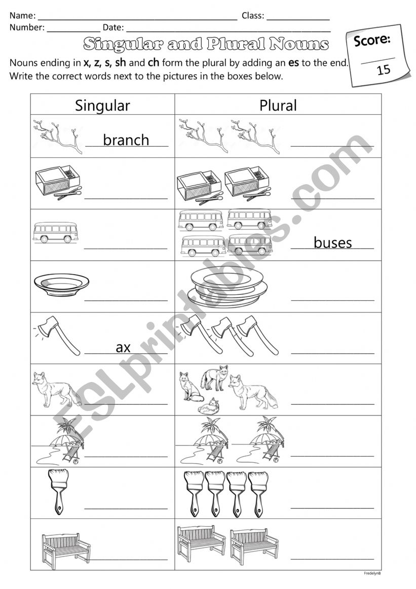 Singular and Plural Nouns worksheet