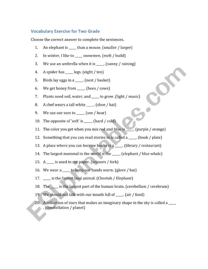 Grade 2 Vocabulary Exercises worksheet