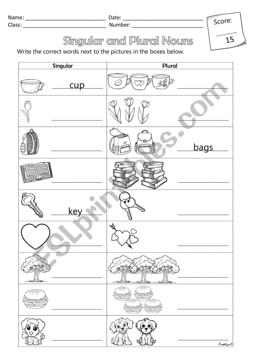 Singular and Plural Nouns worksheet