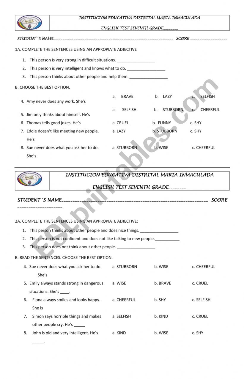 ADJECTIVE TEST worksheet