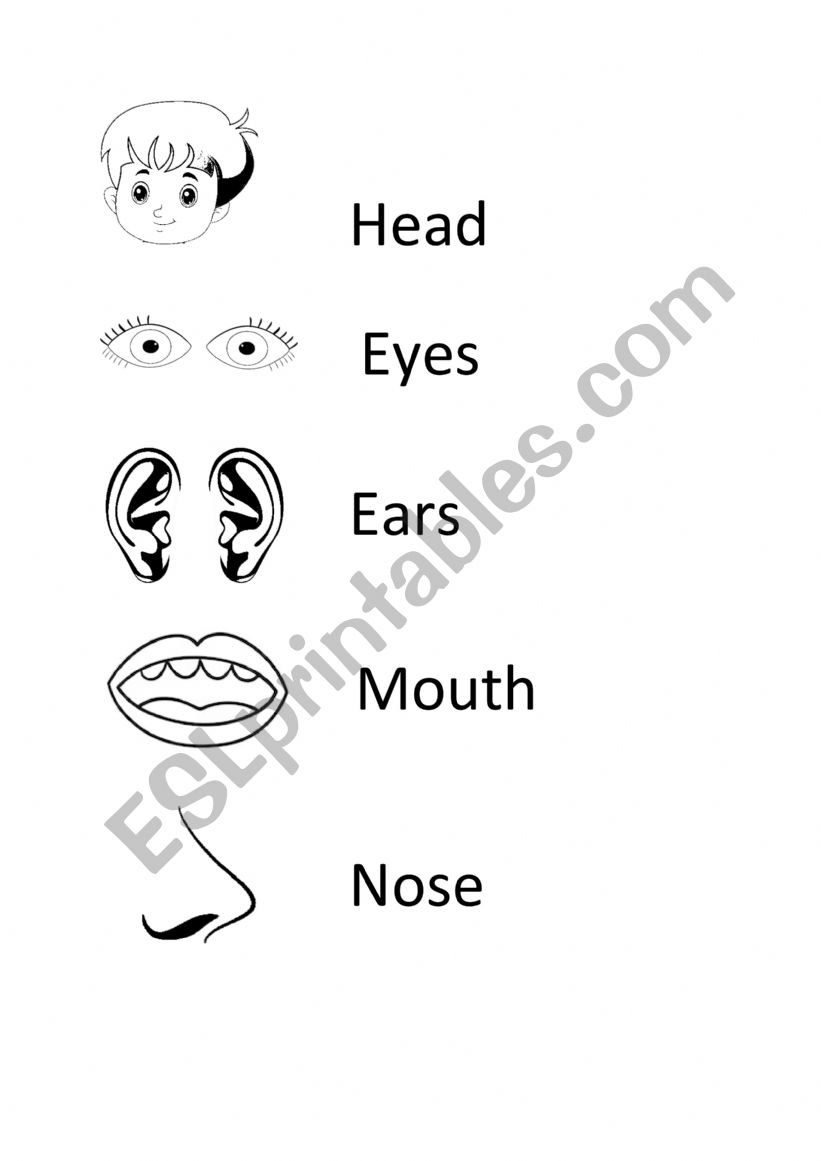 Body Parts worksheet