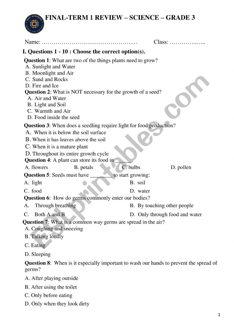 final test worksheet