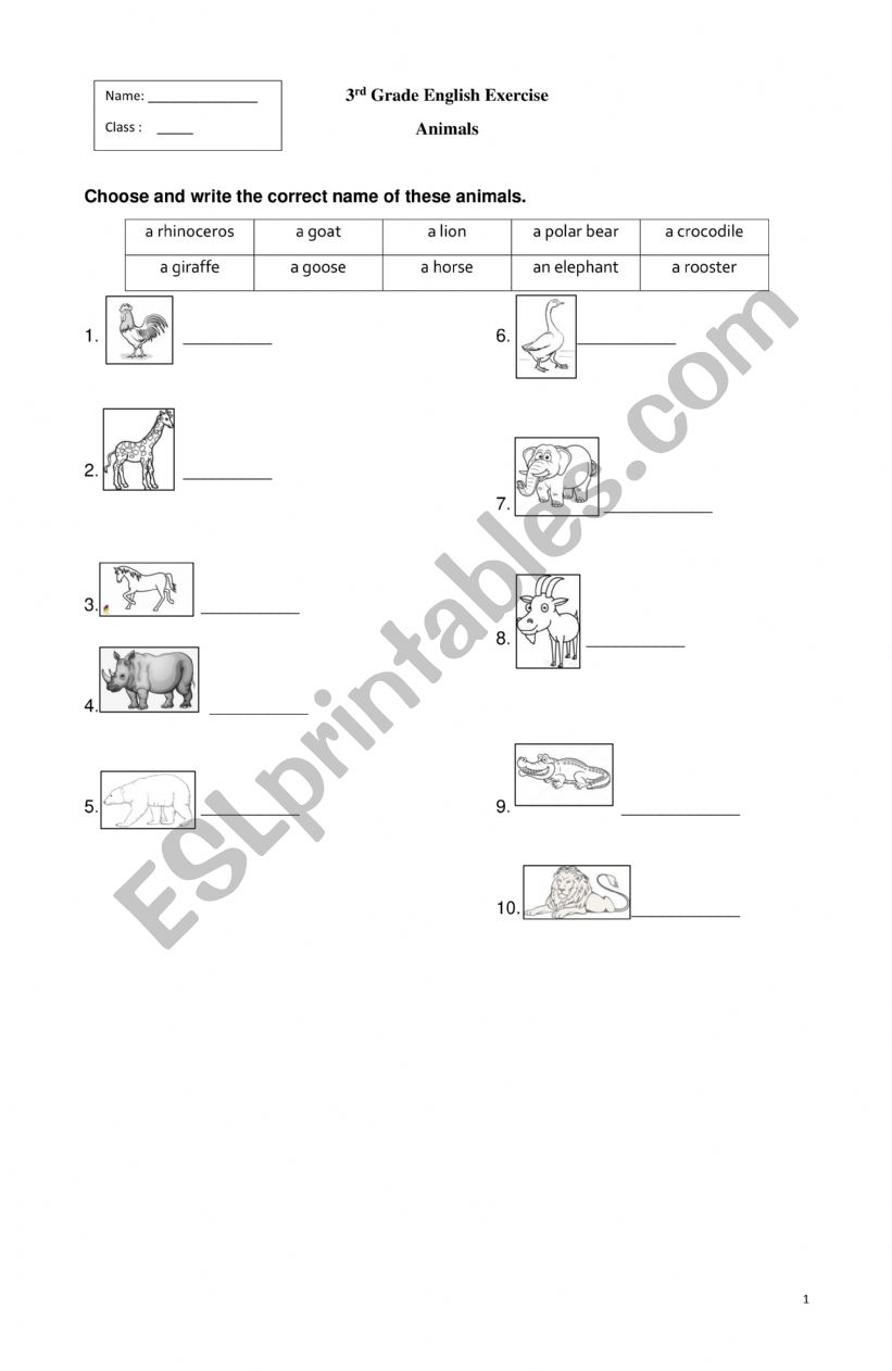 3rd Grade English Exercise about animals