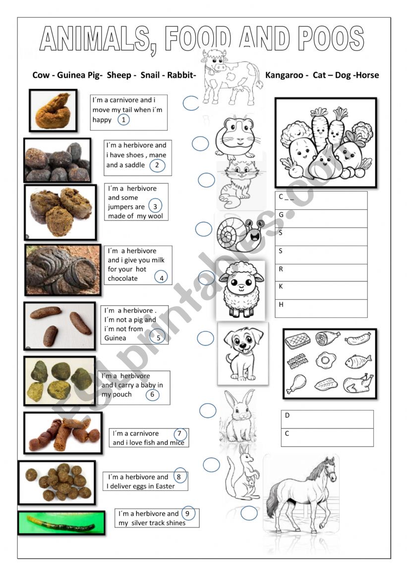 Animals, food and poo worksheet