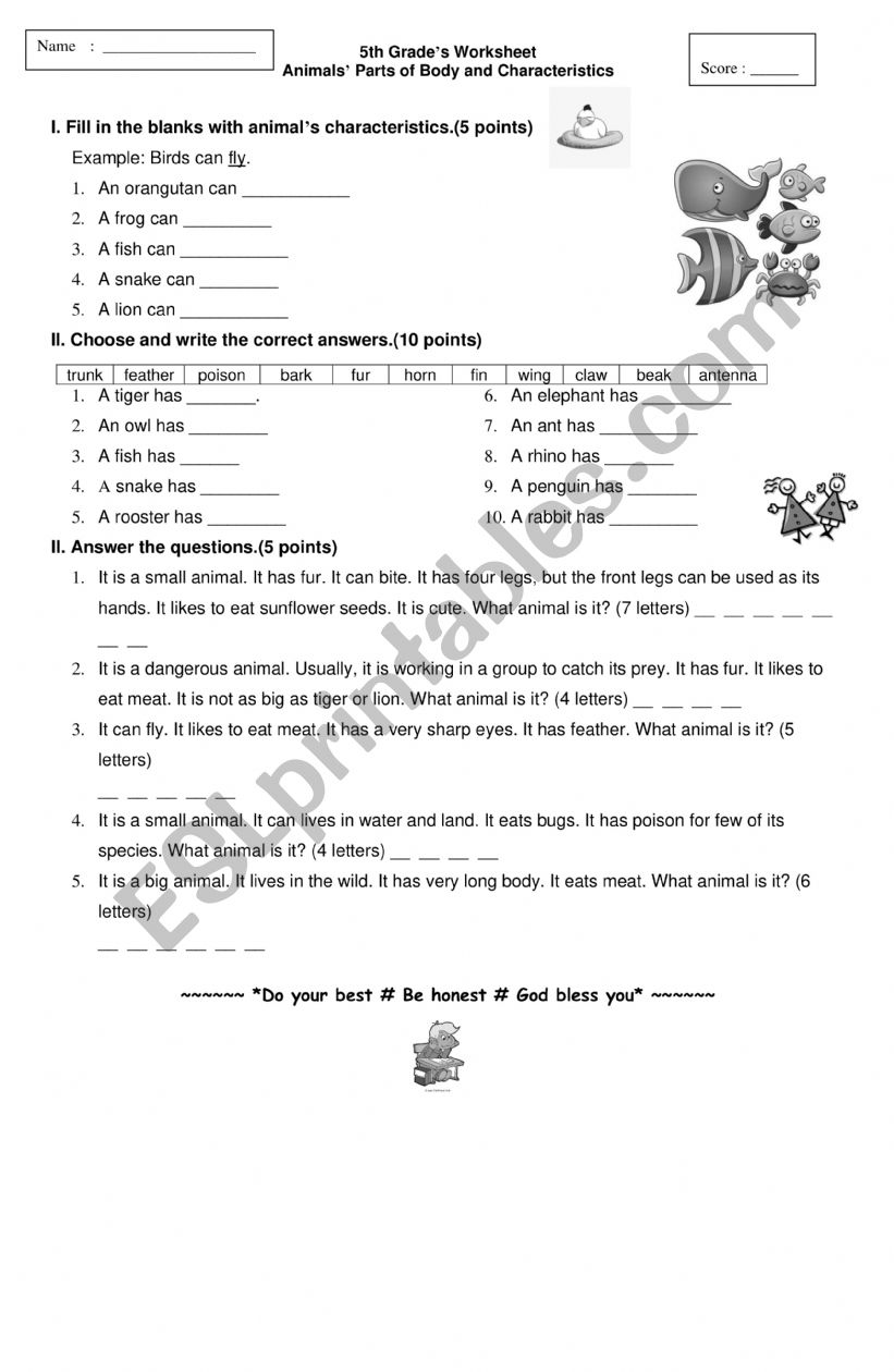 5th grade worksheet animals part of body and characteristics