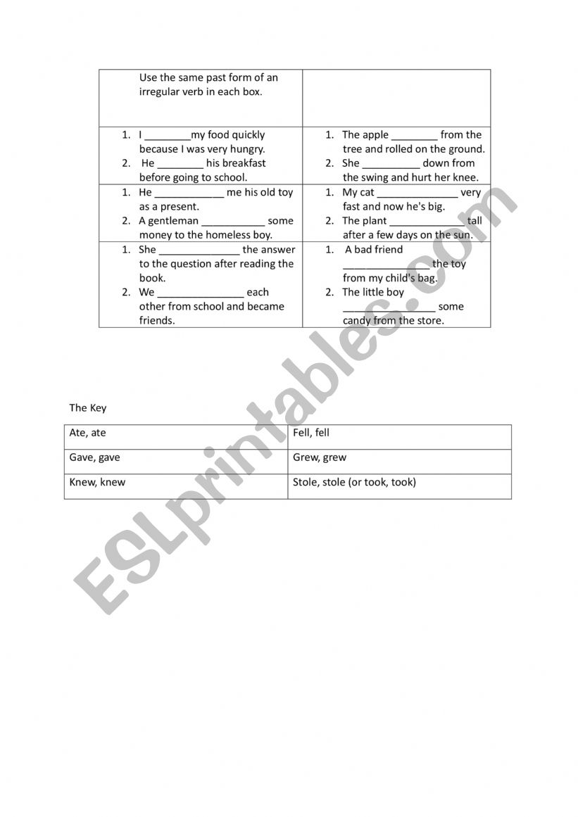 irregular verbs  worksheet