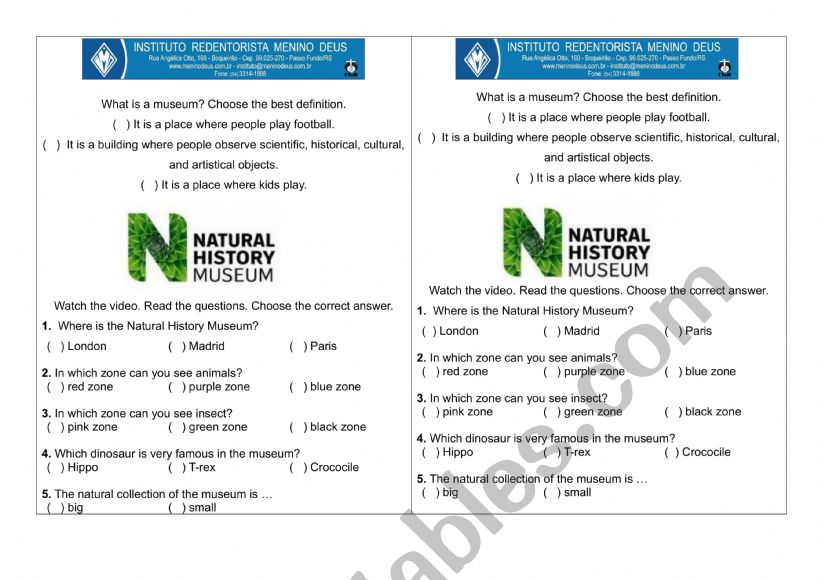 Natural History Museum worksheet