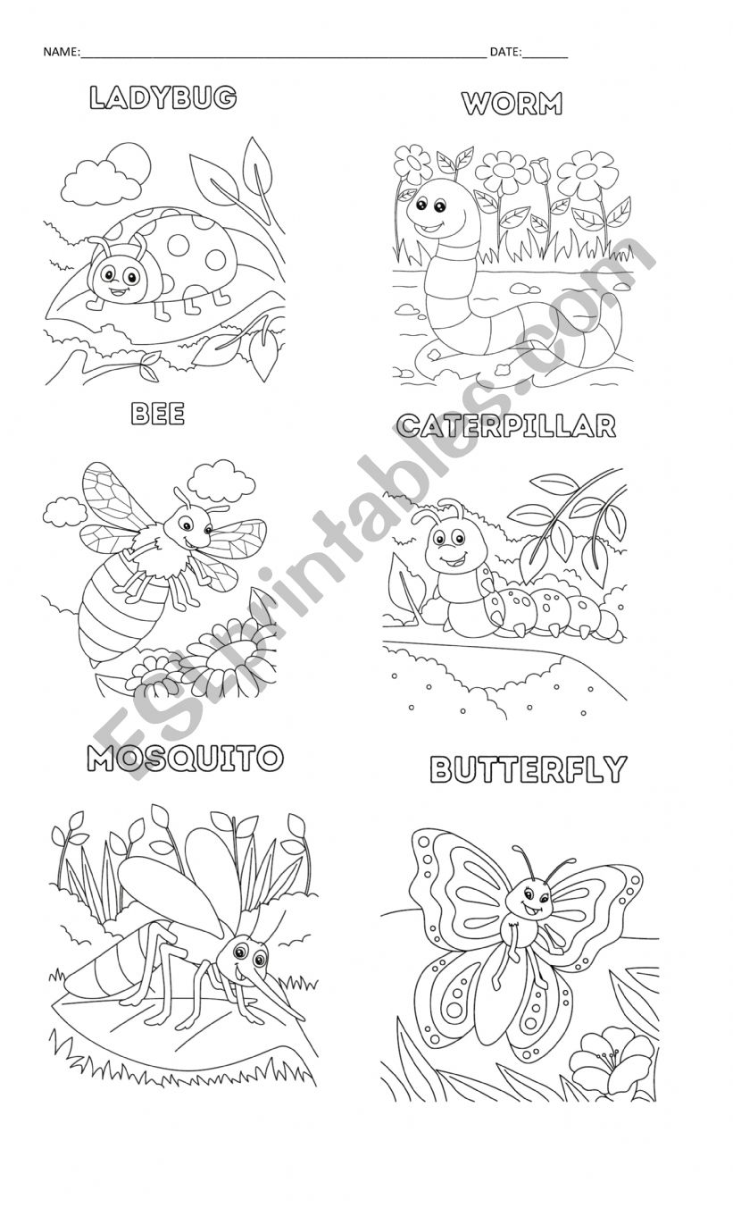 Bugs for kindergarten worksheet