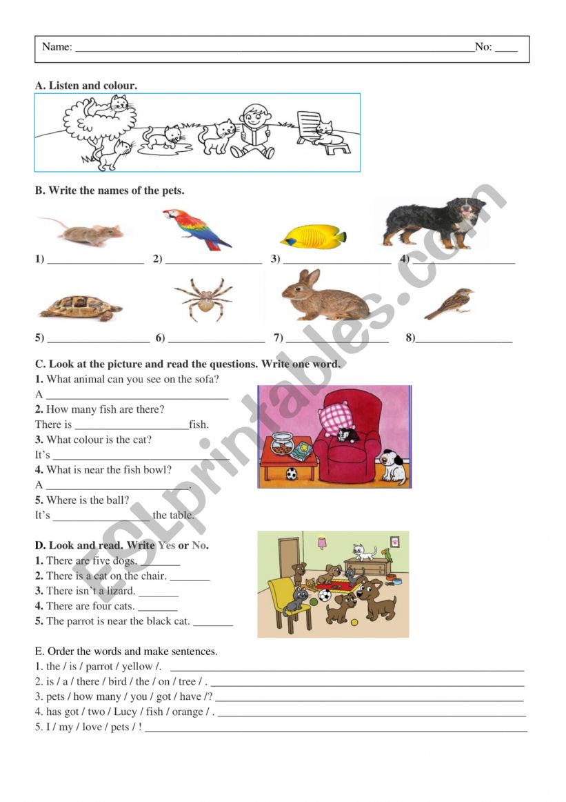 Pets worksheet