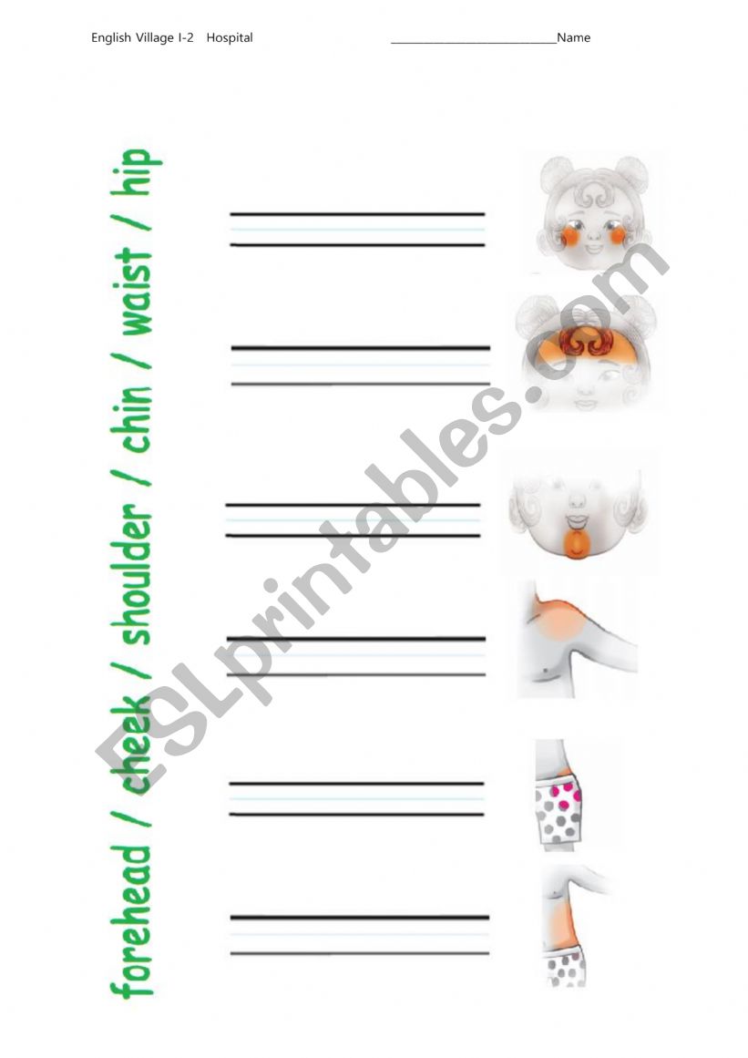 write the body parts  words worksheet