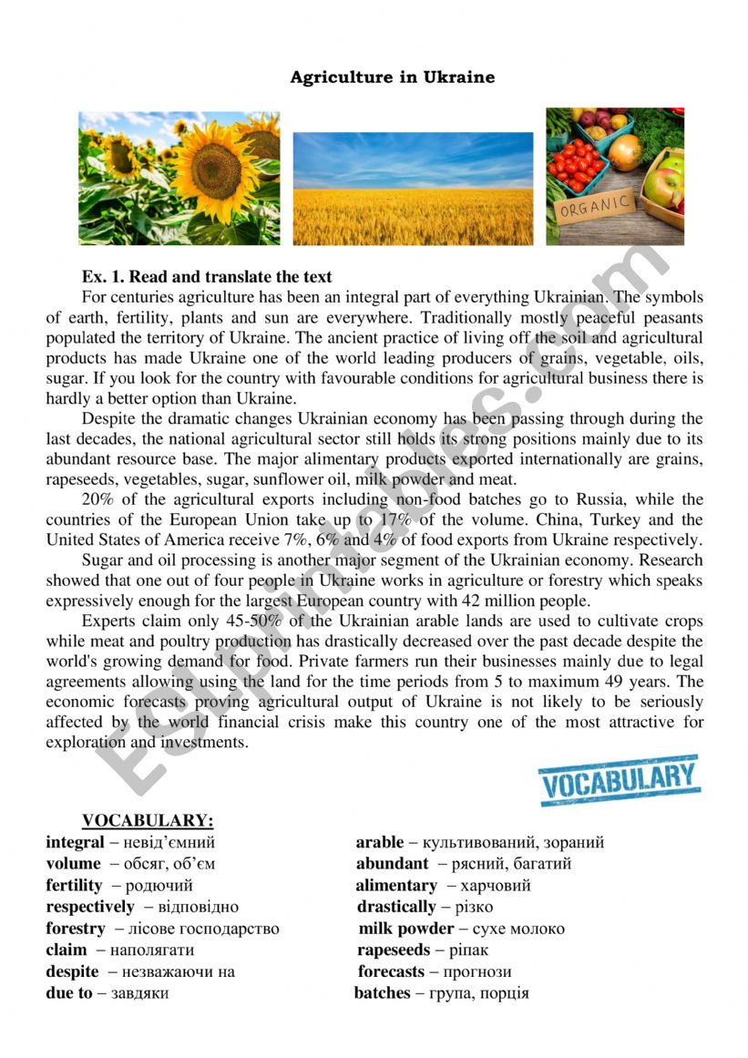 Agriculture in Ukraine worksheet