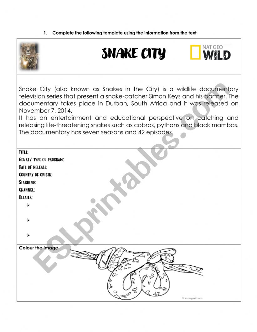 snake city tv program worksheet