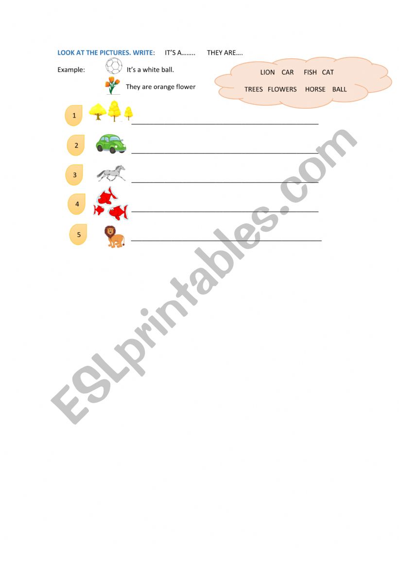 SINGULAR PLURAL worksheet