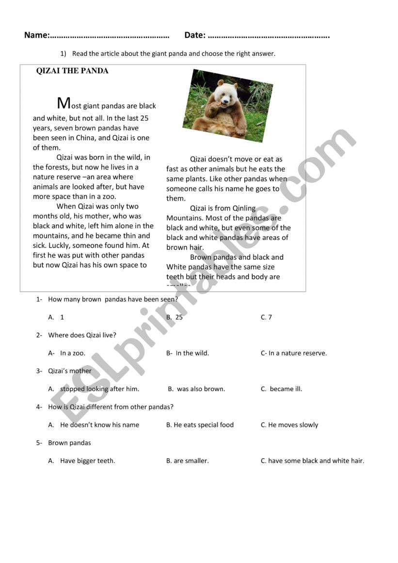 READING COMPREHENSION worksheet