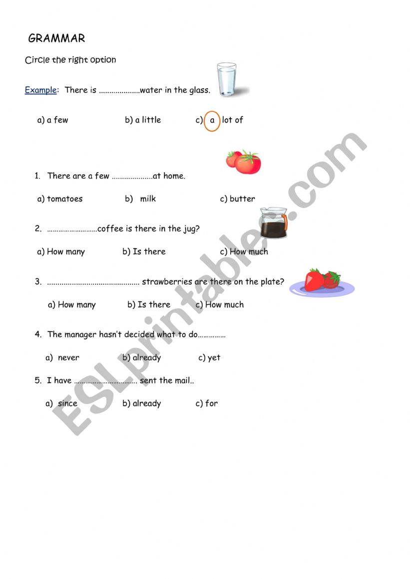 countables uncountables worksheet