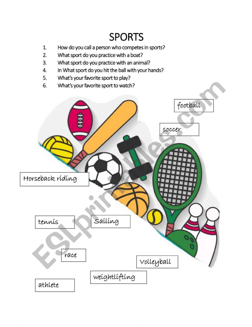 Sports questions worksheet