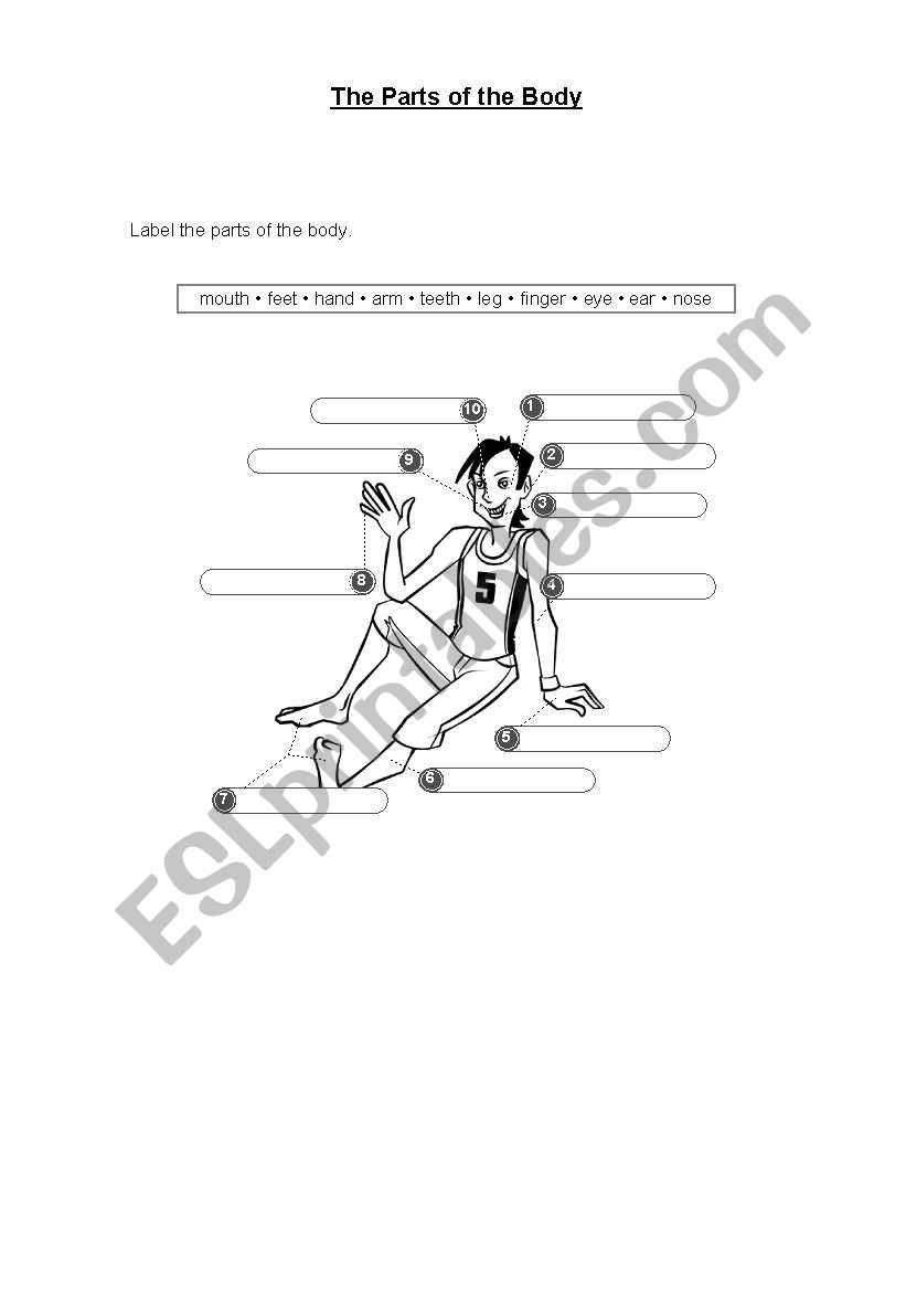 Parts of the Body worksheet