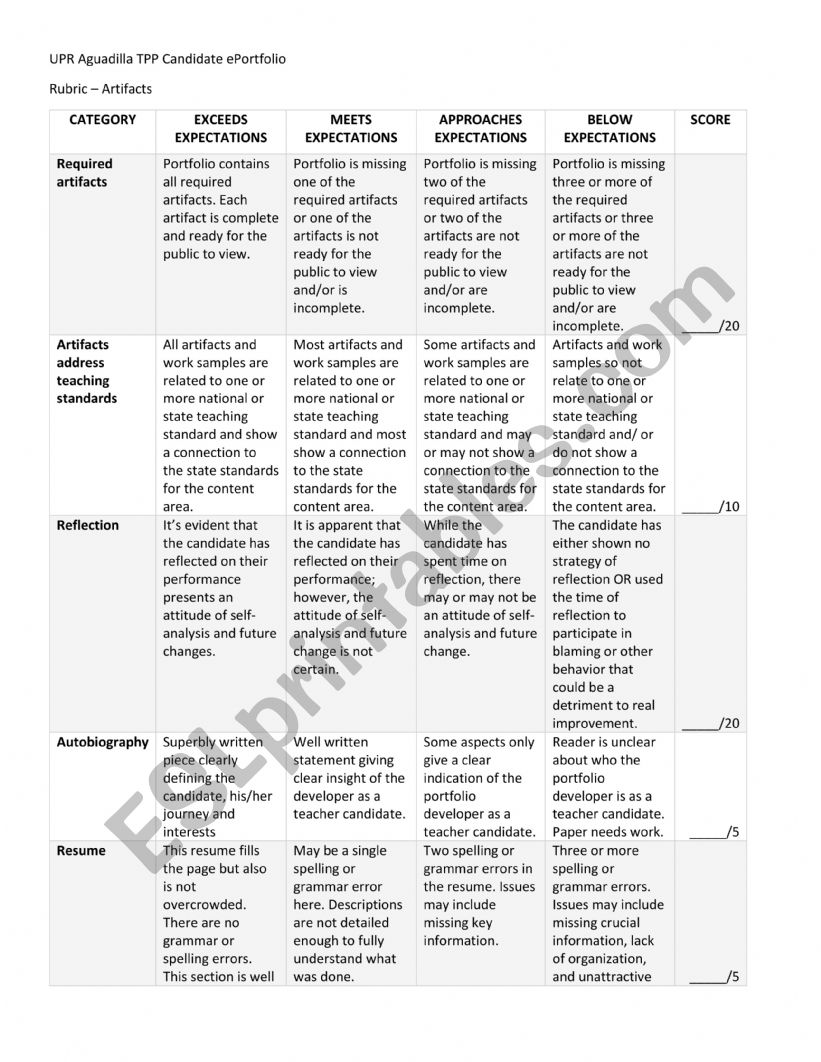 Portfolio Rubric worksheet