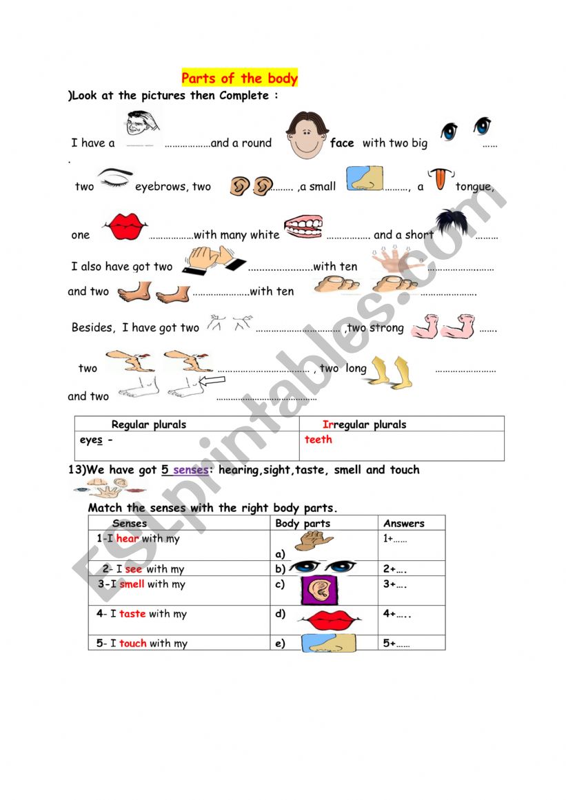 PARTS OF THE BODY worksheet