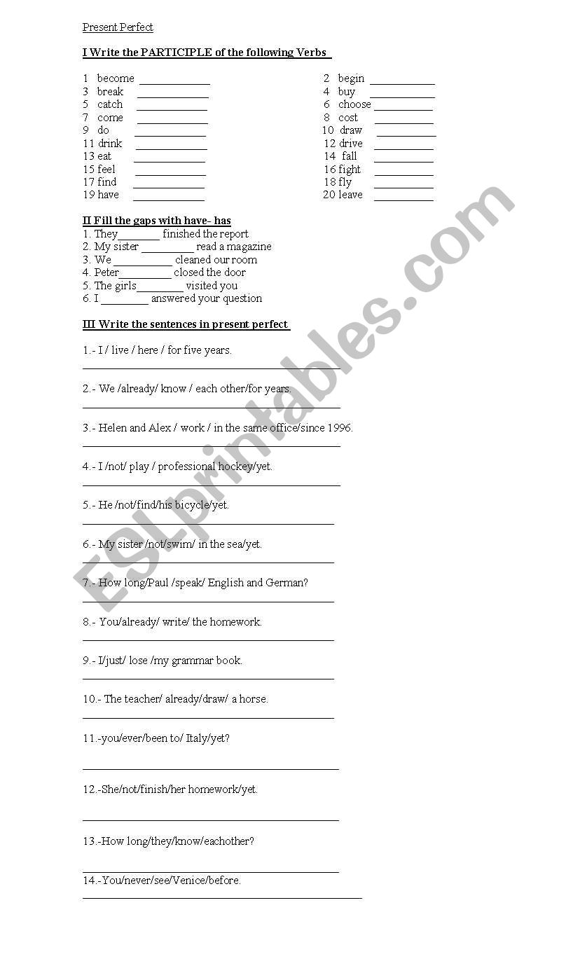 the present perfect tense worksheet