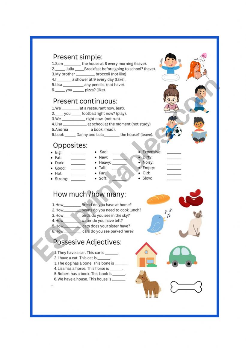 Primary midterm review worksheet