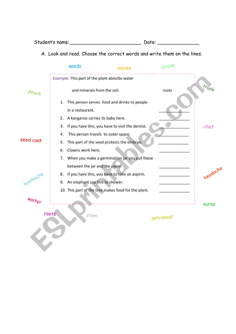 DEFINITIONS worksheet