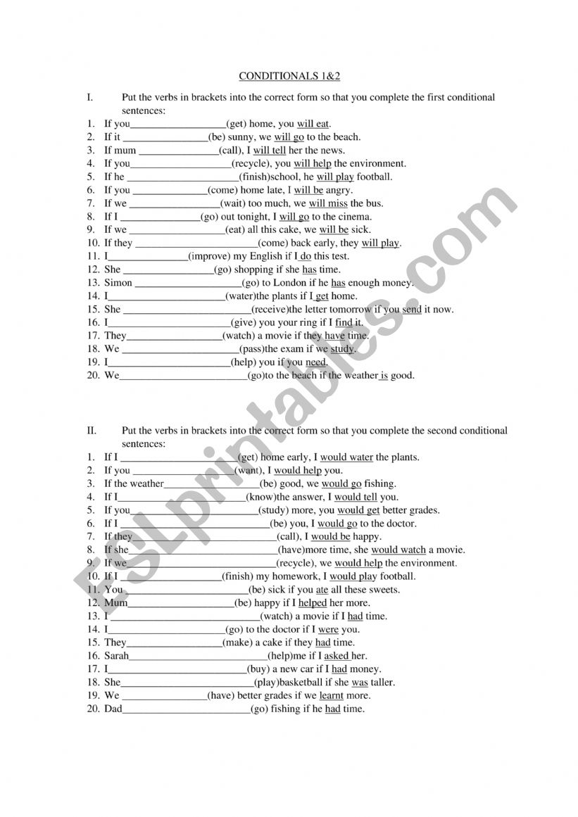 Conditionals 1 and 2 worksheet