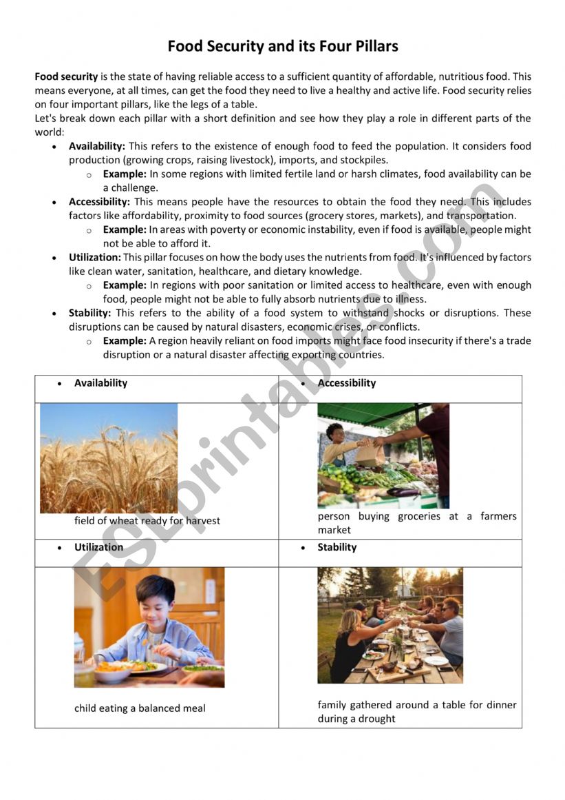 FOOD SECURITY worksheet
