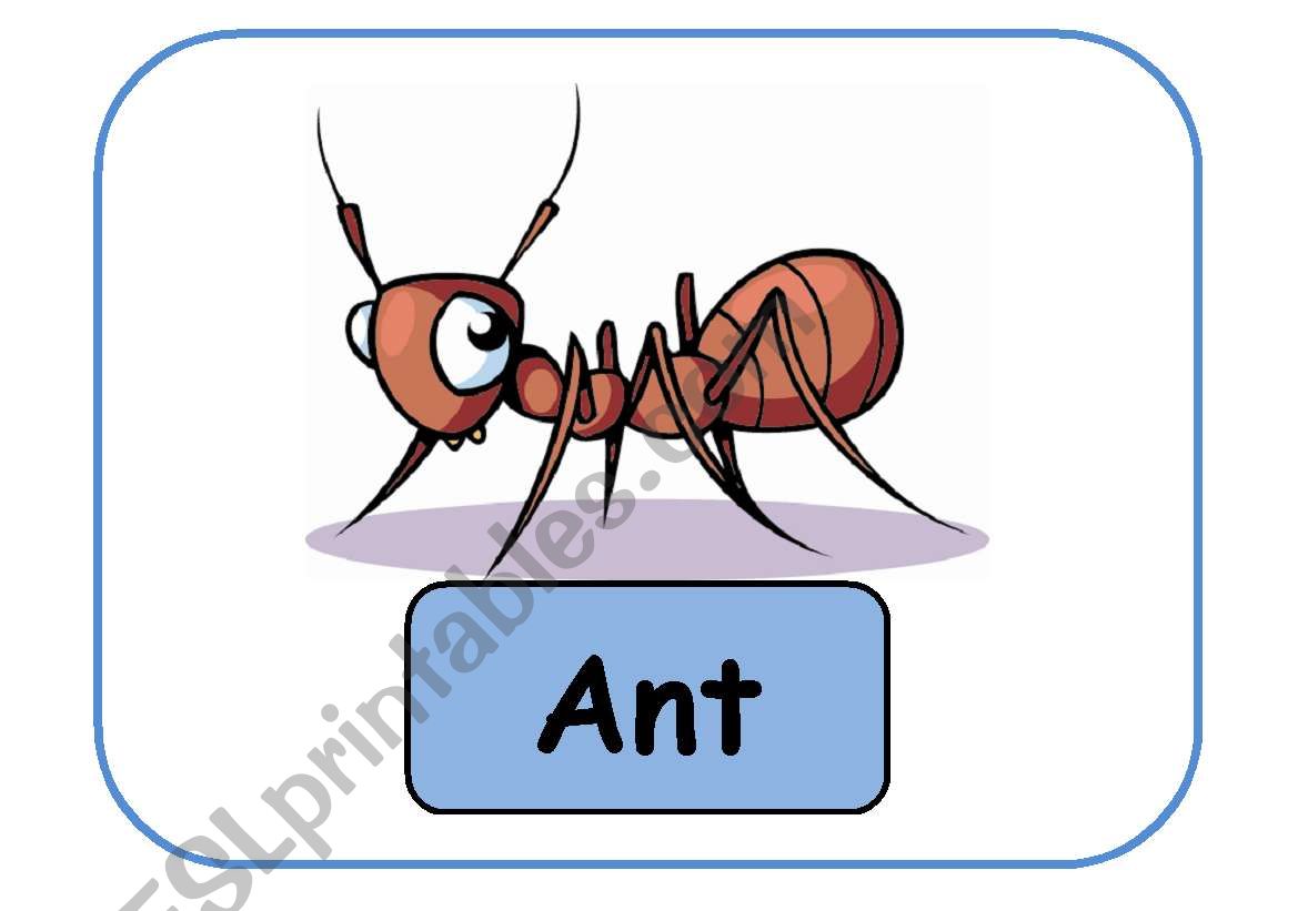 ANIMALS FLASHCARDS PART 5 worksheet