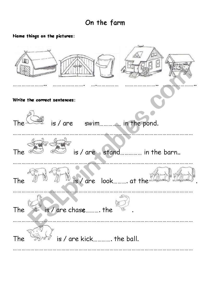 On the farm worksheet