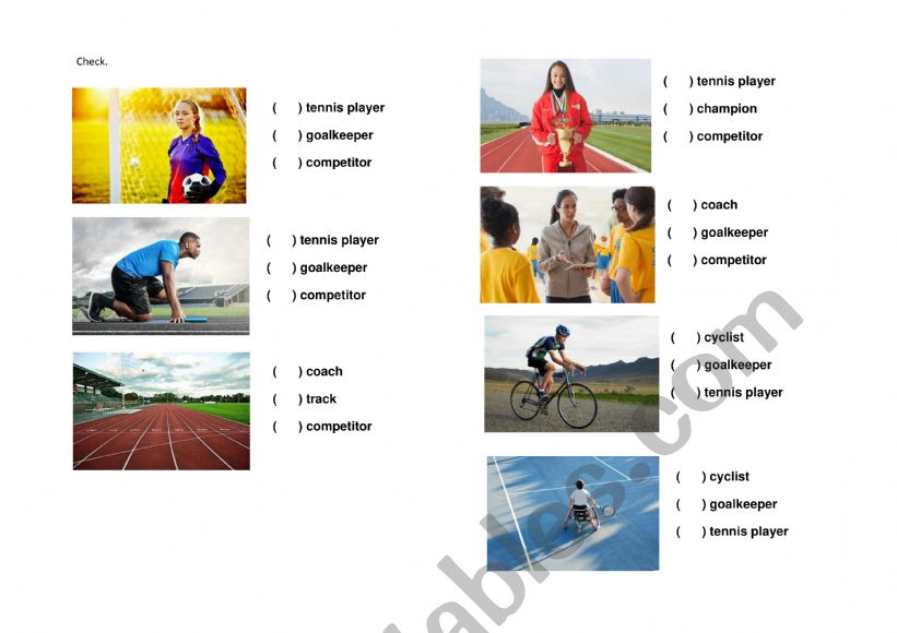 Sports vocabulary worksheet