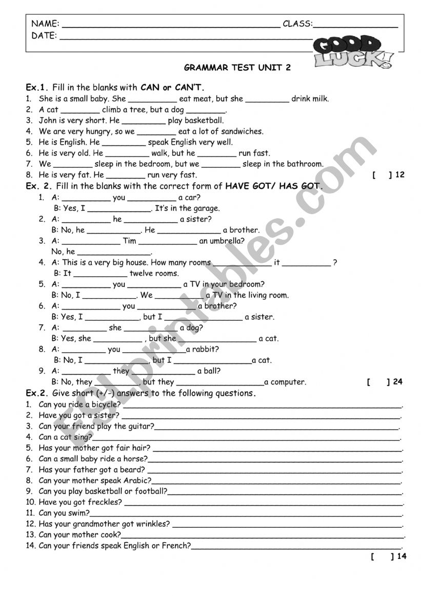 grammar worksheet