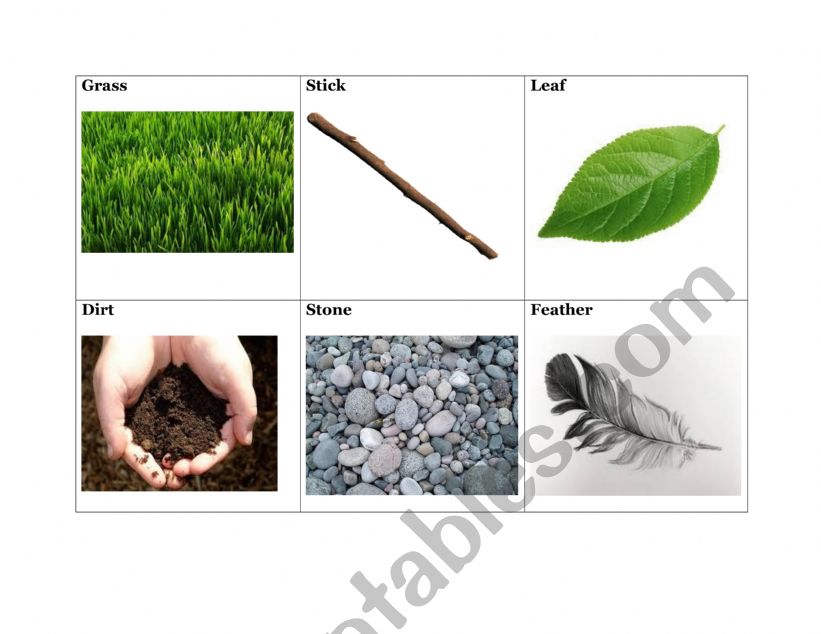 Nature words flashcards  worksheet