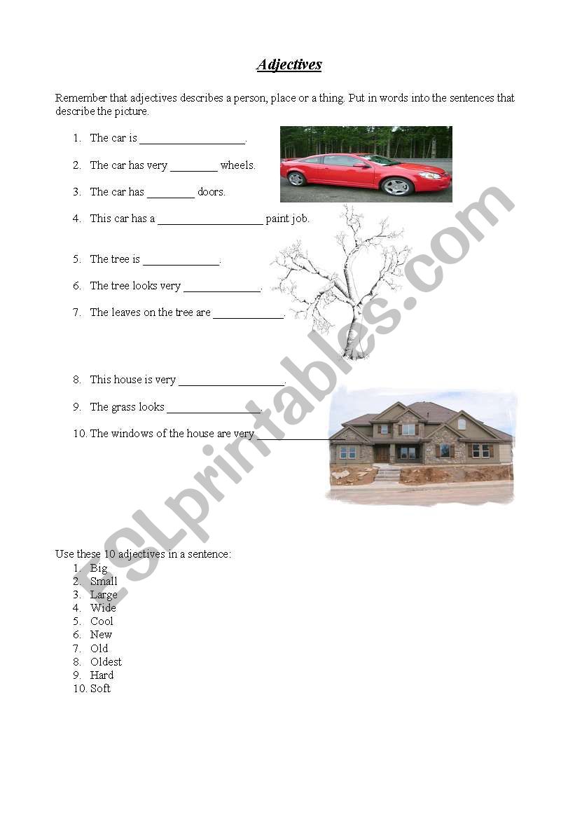 Adjective Worksheet worksheet